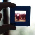 family history, genealogy