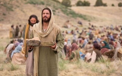 Loaves, Fishes, and 5000 Blessings