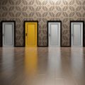 door choice decision