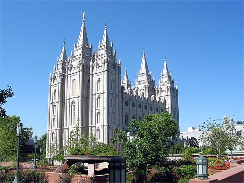Disciple Pioneers