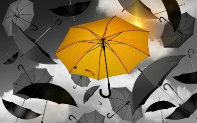How to Find Gratitude in a World of Hardship