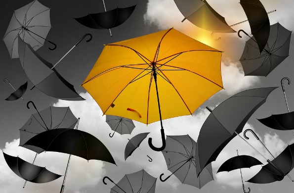 How to Find Gratitude in a World of Hardship