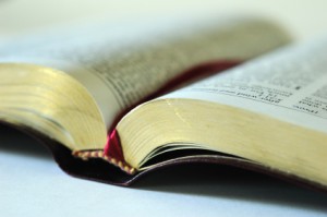 Mormon Holy Bible