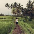 path wander