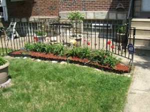 Patty's Philadelphia garden