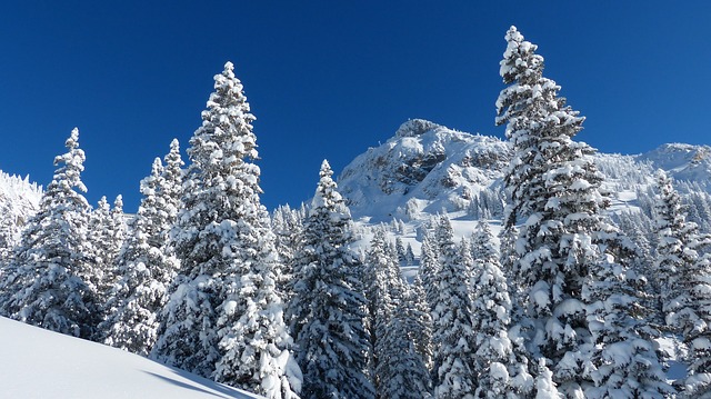 Spiritual Renewal: “I Really Don’t Know Snow.”