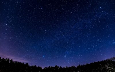 Being Single: Bright and Abundant Stars