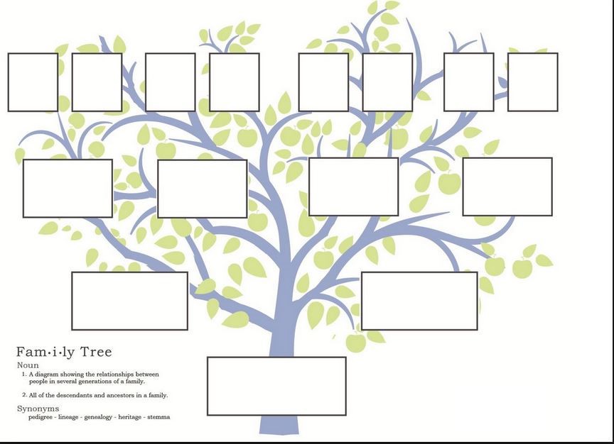 Decorative family tree for wall