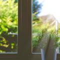 window