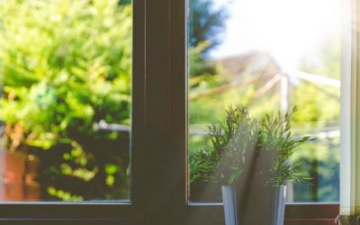 Clean Windows and General Conference: Trust God