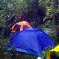 tents at campground