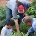 people gardening