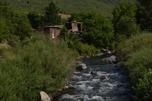uncropped nature scene