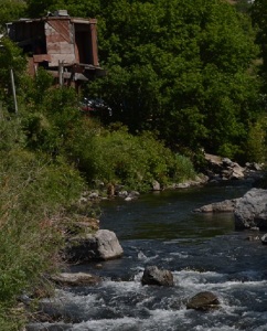 nature image cropped