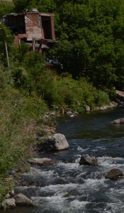Another cropping of the nature picture
