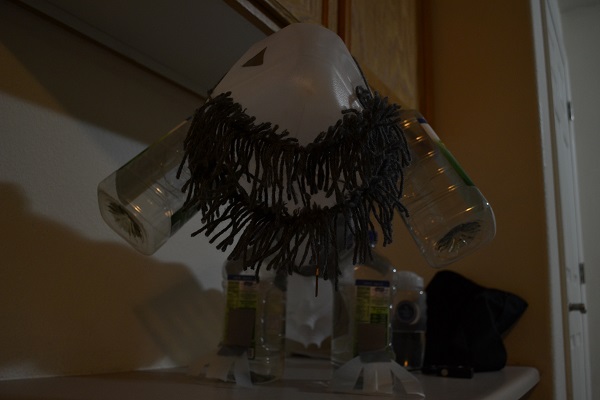 Upcycling: Crafting the Face of Manliness