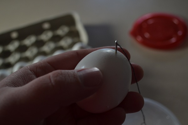 Needle in egg