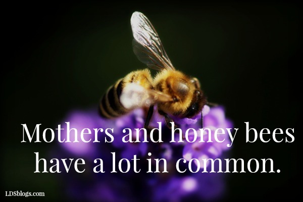 What Moms Learn From Bees About Real Life