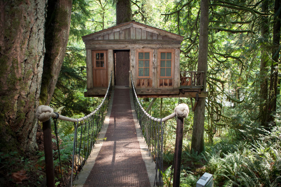 Tree house with suspension bridge