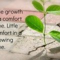 growth in adversity meme