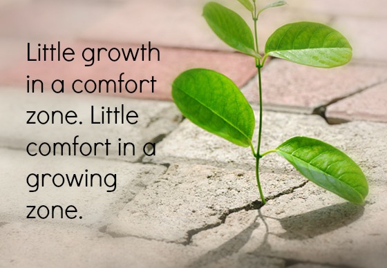 The Growing Zone