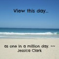one in a million day meme beach scene