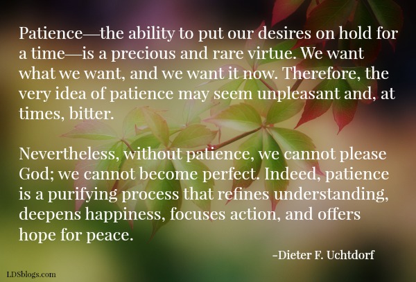 4 Building Blocks of Patience