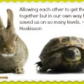 tortoise and hare meme