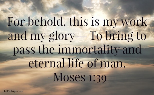 This Is Life Eternal: Following The Plan