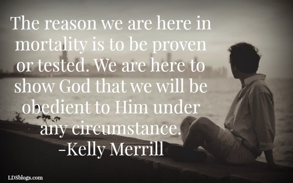 Don’t Get Comfortable, We Are Eternal