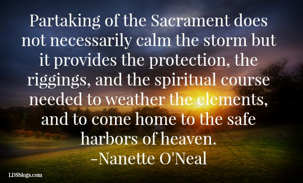 Weathering The Storm