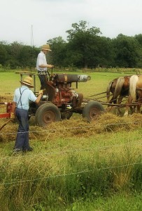 amish-287405_1280