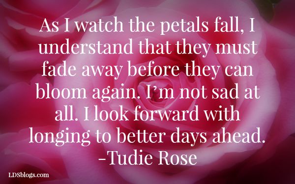 As Petals Fall