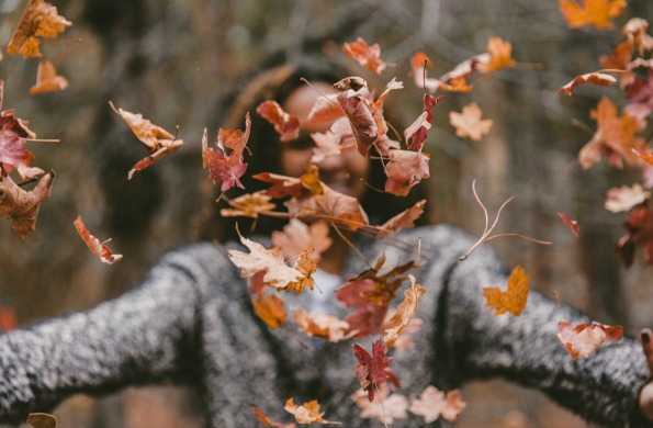 leaves fall thanksgiving