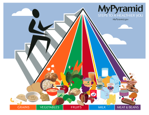 This is the Old version of the Food Pyramid