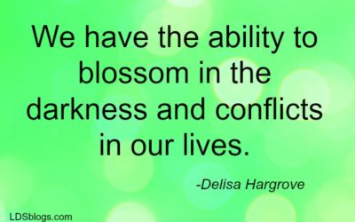 Becoming Wildflowers in Life’s Desert