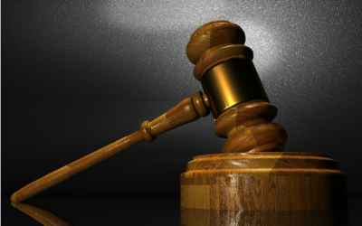Legal Adventures