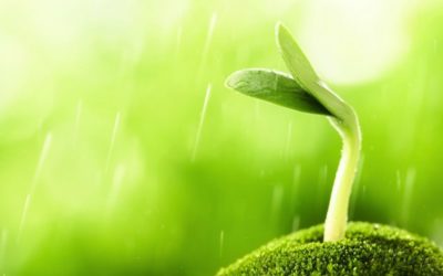 Grow