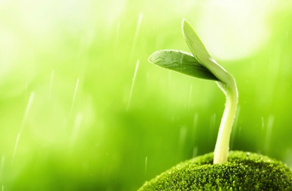 Grow