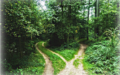 Choosing the Right