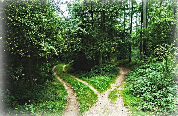 Choosing the Right