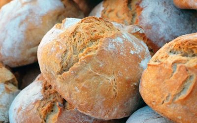 The Sacrament – Bread of Life