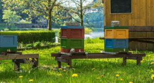 Beehives