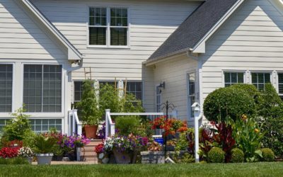From Earth’s Bounty: Home Gardening Favorites