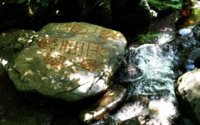 Leave Your Mark On the World