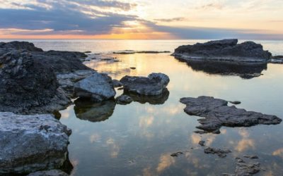 Managing Stress in Our lives
