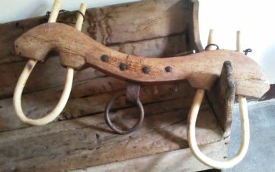 What Does it Mean to Carry Christ’s Yoke?