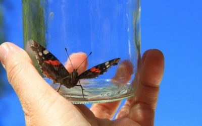 Why Satan Doesn’t like Free Will