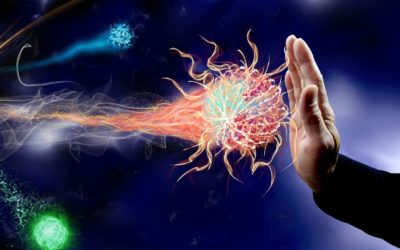 Keeping the Immune System Healthy