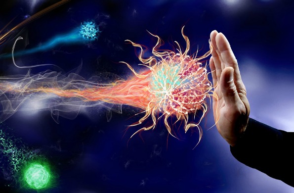 Keeping the Immune System Healthy
